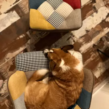 Оттоманка Hygge 2023_12_22