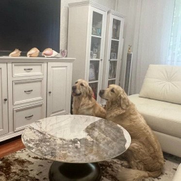 Столик Aria - Отзыв