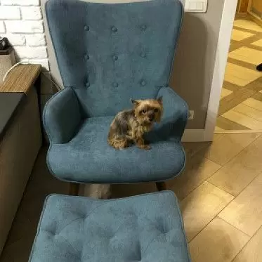 Кресло Hygge IMG-20231116-WA0032