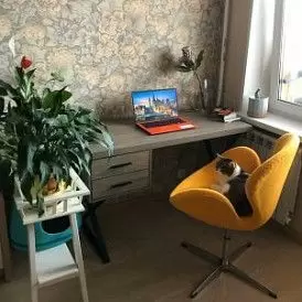 Кресло Swan Beige