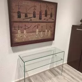 Консоль Vega (110)