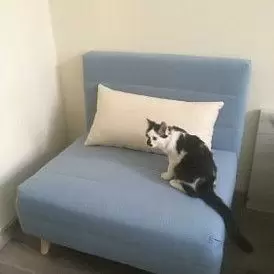 Кресло-кровать Flex, серый