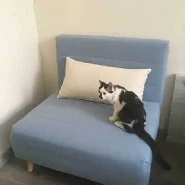 Кресло-кровать Flex, голубой IMG-20210208-WA0025.jpg