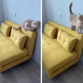 Диван-кровать Doris, желтый