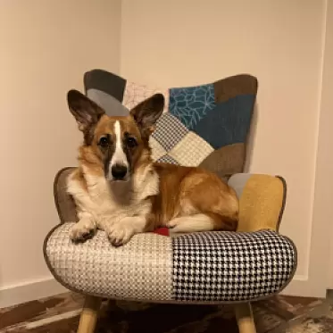 Кресло Hygge 2023_12_22