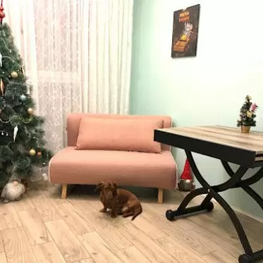 Диван Rosy Google 2023-12-27