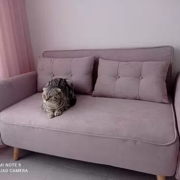 Диван-кровать Charm, пепельная роза 1631634450761.jpg