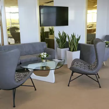 Стол журнальный Muse (в стиле Noguchi), белый Копия IMG-201 ... 18-WA0034.jpg