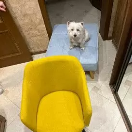 Стул Embrace, желтый