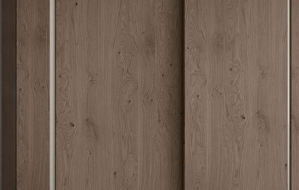 Шкаф ONE с 2 раздвижными дверями 195 H240, дуб дымчатый/каменный (YM506) - фото 2