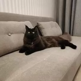 Диван-кровать Doris, желтый