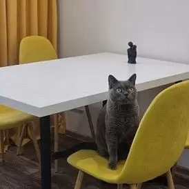 Стул Jackson, коричневый/дерево