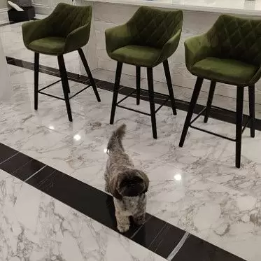 Стул полубарный Sherilyn IMG-20231220-WA0046