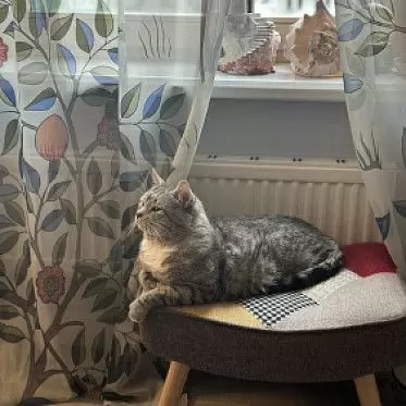 Оттоманка Hygge 599720