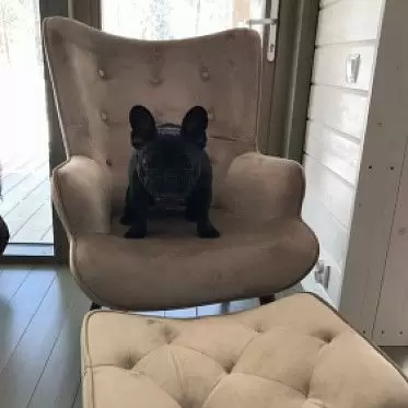 Кресло с оттоманкой Hygge, бежевый/орех IMG-20210218-WA0018.jpg