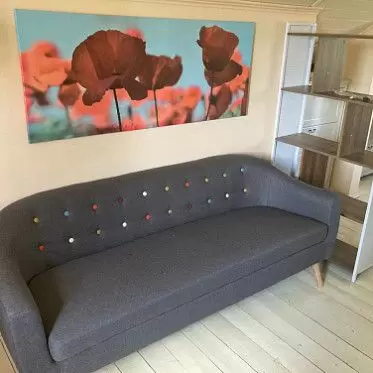 Диван Florence, стеллаж Oslo IMG-20220602-WA0011