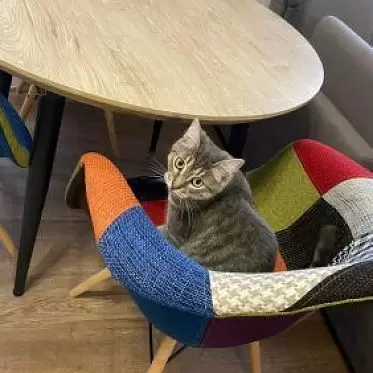 Стол раскладной Leticia 100-130, дуб/черный Летиция-4