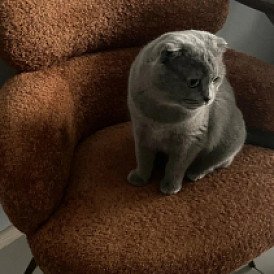 Стол Milan + 4 стула Evy