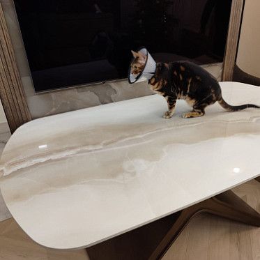 Стол Charlotta 160 IMG-20250115-WA0039