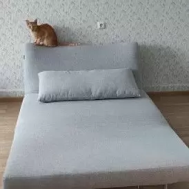 Диван-кровать Rosy-2 2-х местный, бежевый тедди