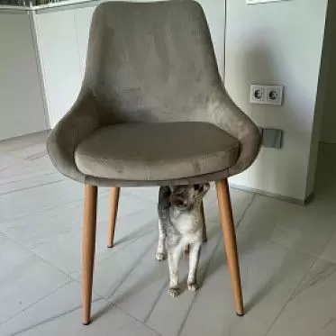 Стул Pepper Yandex