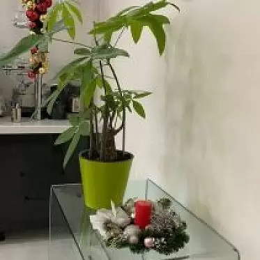 Стол письменный Infinity 80x55 90cc592f-96de-4c43-ad31-8c0edec47e34.jpg